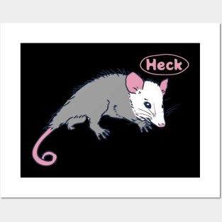 Possum Opossum Heck Posters and Art